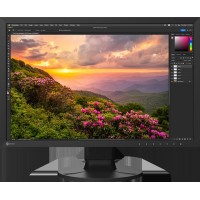 EIZO CS2400S