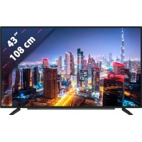 Grundig 43GFB6060