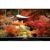 Hitachi 49HK6500