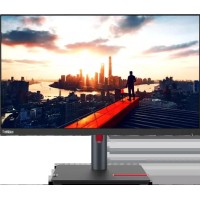 Lenovo ThinkVision P24h-30