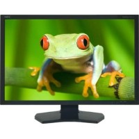 NEC MultiSync