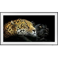 Samsung QE65LS03A