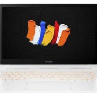 Acer ConceptD 3 Ezel