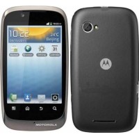 Motorola Domino+