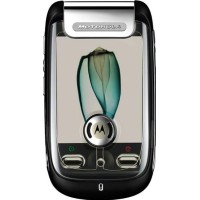Motorola MING
