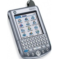 Palm Tungsten