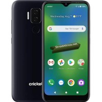 VinSmart Cricket Influence